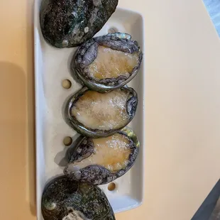 Live Ezo Awabi (Abalone)