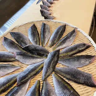 Summer sashimi: Takabe (Yellowstriped butterfish) from Japan
