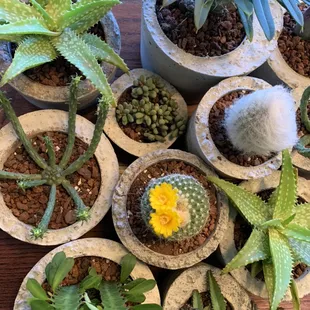 New plants!