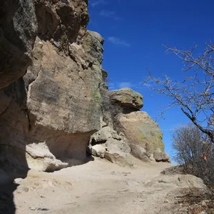 Nice wide trail/path.