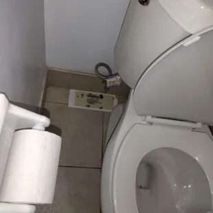 Mouse trap behind the toilet