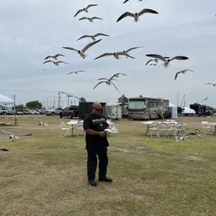 Food so good the birds fight for it