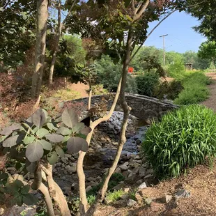 Rock Quarry Garden bridge