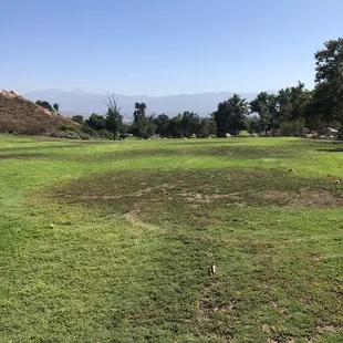 A pretty picture I took at this park