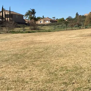 Bigger area next door