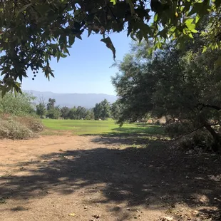 A lot of trees and shade