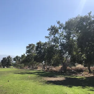 View from the back of the park