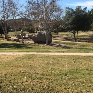 Lots of shady places