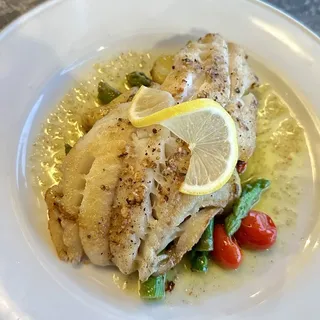 Fish Market Daily Catch