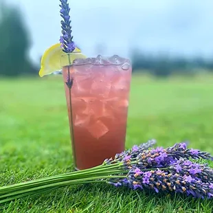 Come cool down with your favorite bartenders at Rockaway! Try our August drink special, Spiked Lavender Lemonade!