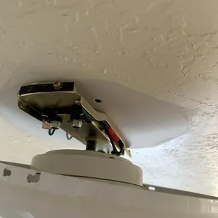 Textured and painted around a ceiling fan they installed.