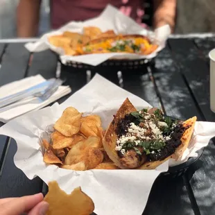 Napa dog and the danger dog!