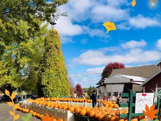 Edwards Apple Orchard