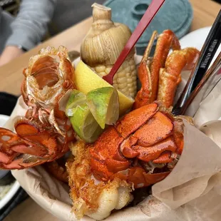 Sea of Cortez bucket