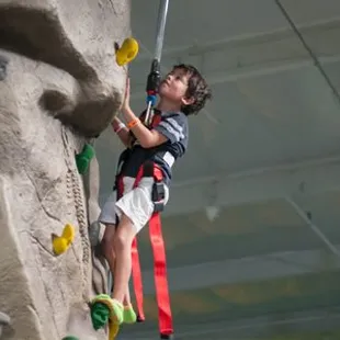 Vertigo Climbing Tower