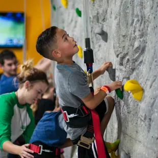 Rock Climbing Wall