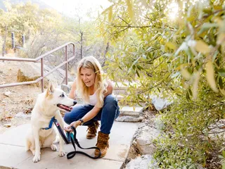 Joyful Pets and Homes