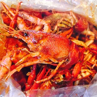 Huge crawfish!!!!!