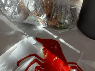 Rocking Crab II