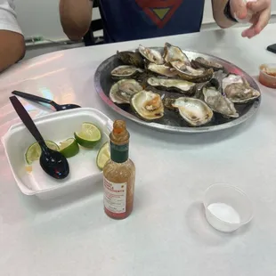 Oysters