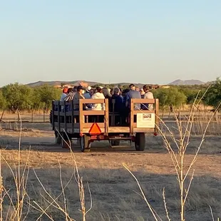 Wagon Rides