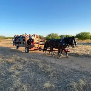 LILO &amp; Stitch pulling a group out for a sunset wagon ride