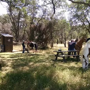 We are located close to Morgan Territory Regional Preserve Park, where you can explore a variety of trails.