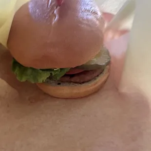 Beyond Burger