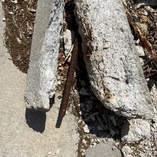 Curb, broken with rebar exposed