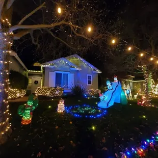 Decor and light display