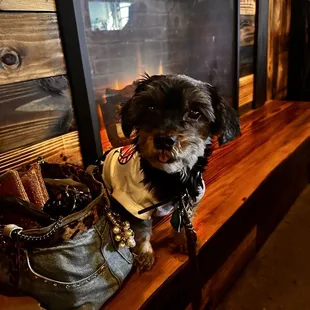 Hot dog by the gas fireplace