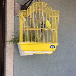 outside