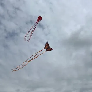 You can fly kites here!