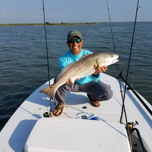 Big Redfish!
