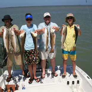 Fish, Fish, and More Fish.