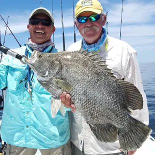 Big Tripletail
