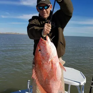 Big Red Snapper