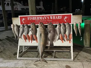 Coastal Charters