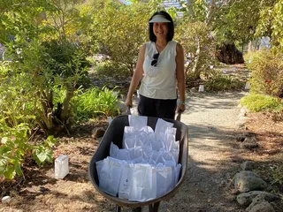 Autumn Lights Festival