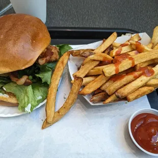 Chicken deluxe and fries