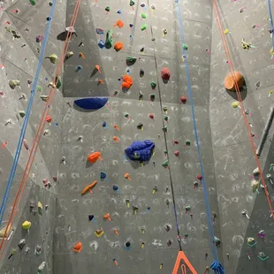 Grey Wall - Auto Belay 3