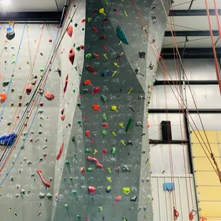 Grey Wall - Auto Belay 4