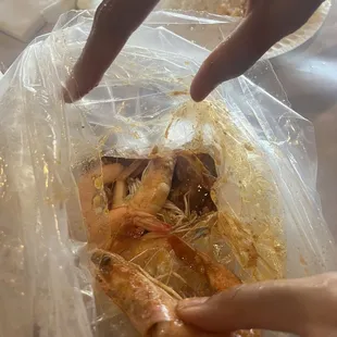 Shrimp bag