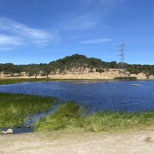 Grey goose lake