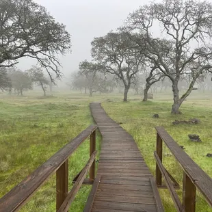 Rockville Park
