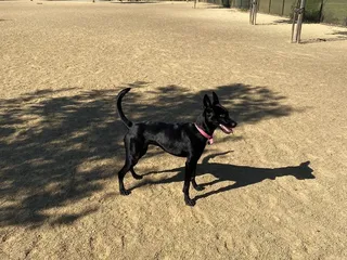 Lawler Ranch Park