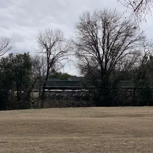 All out of carts for spectators ‍.