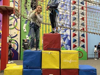 Hapik Dallas Firewheel