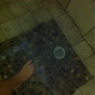 Disgusting non draining Luke warm showers