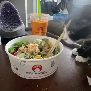Even the cats were immediately ready to dig in. All the ingredients are so fresh!